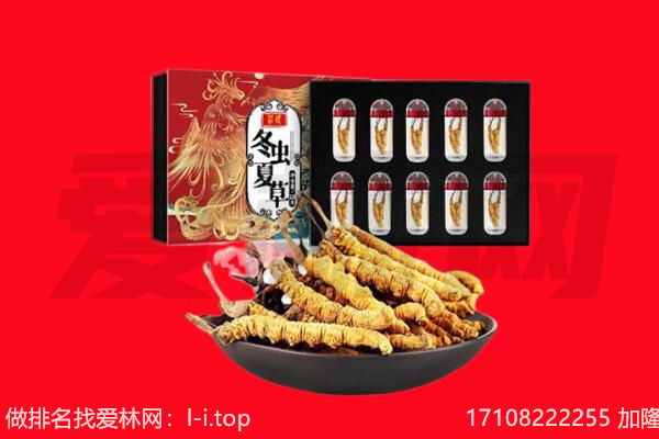 宜昌回收虫草.jpg